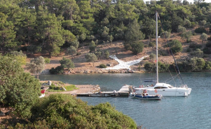 Dalaman Ormanlarında Bu Kez Zilyetlik Vurgunu